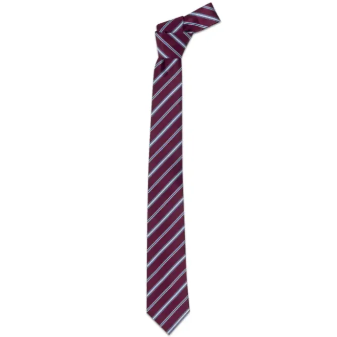 Cravatta da Lavoro 100% Poliestere Giblor's 19P05I141