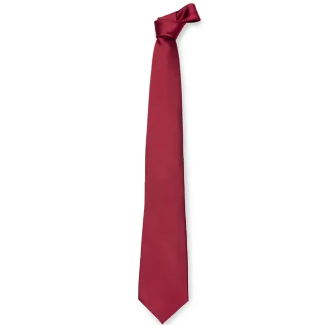 Cravatta da Lavoro 100% Poliestere Giblor's 511
