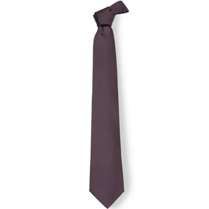 Cravatta da Lavoro 100% Poliestere Giblor's 511
