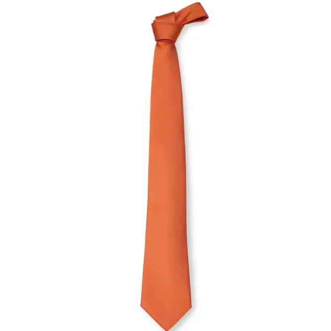 Cravatta da Lavoro 100% Poliestere Giblor's 511