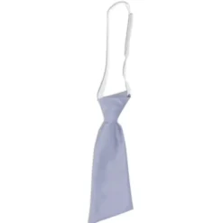 Cravattino da Lavoro Giblor's Lady 19P05I871