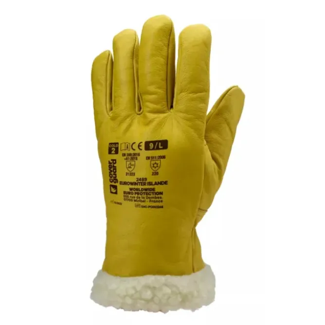 6 Paia - Guanti Da Lavoro Coverguard In Pelle Eurowinter MO2490 Antifreddo
