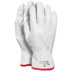 36 Paia - Guanti da lavoro in Pelle Fiore Bovino EN 388 005/B