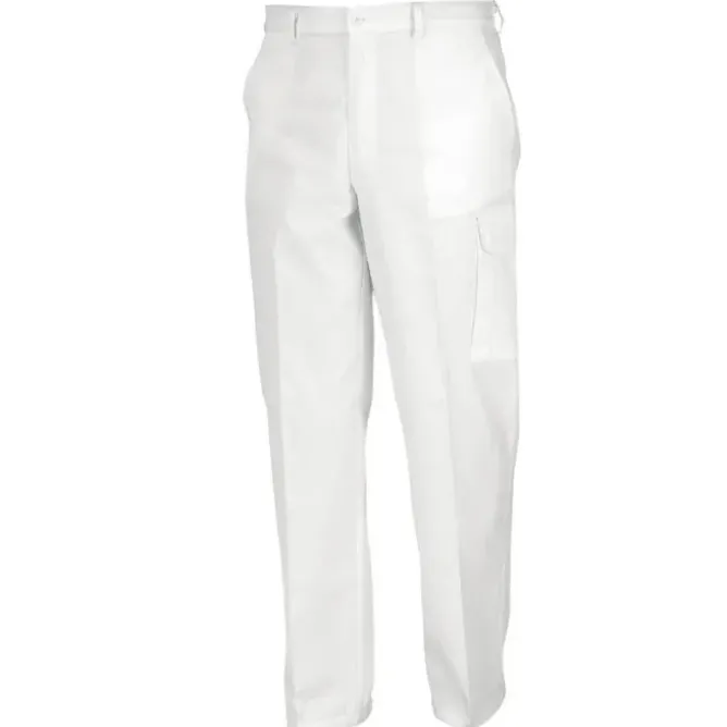 Pantalone da Lavoro Multitasche Issa Line 100% Cotone Pittore 8630