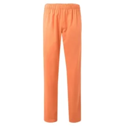 Pantalone Sanitario da Lavoro Velilla 333